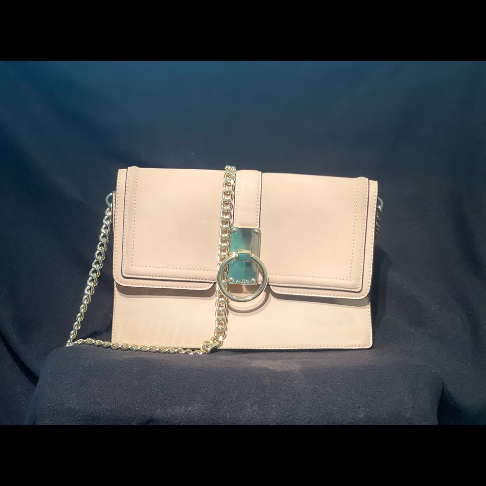 Aldo Crossbody Bag